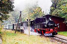 Lnitzdackel